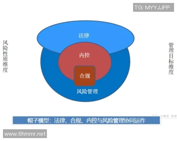 以法务为核心推动企业合规管理与风险防控体系建设的创新探索